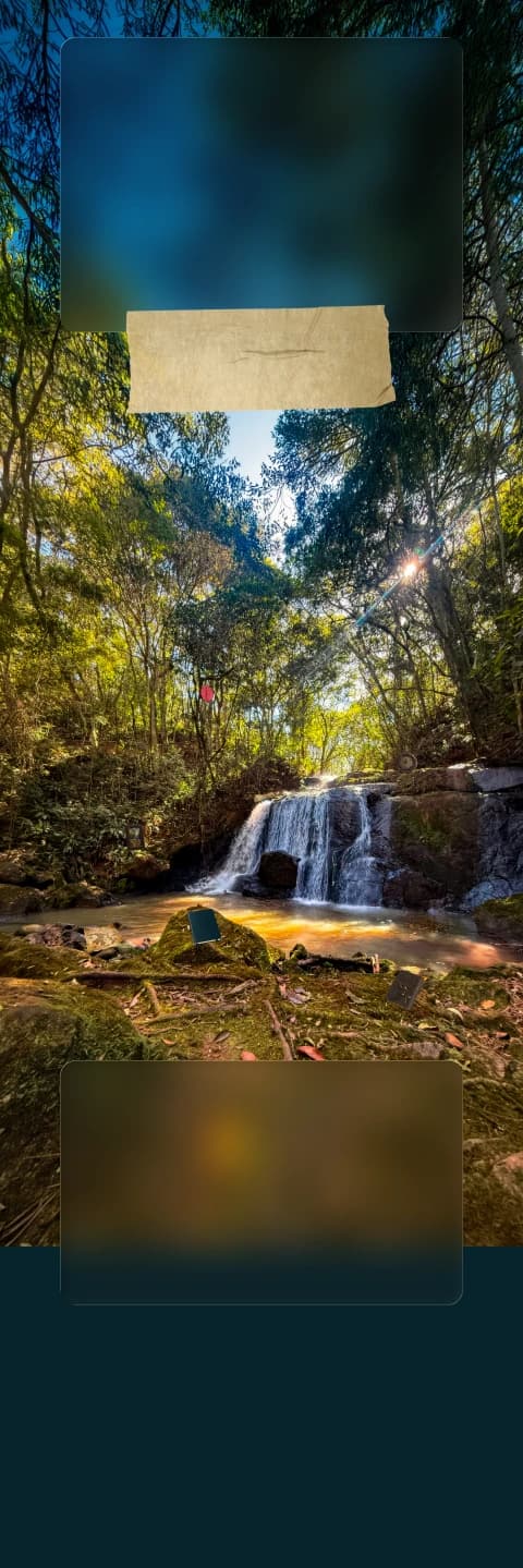 Cachoeira em uma trilha cercada por mata